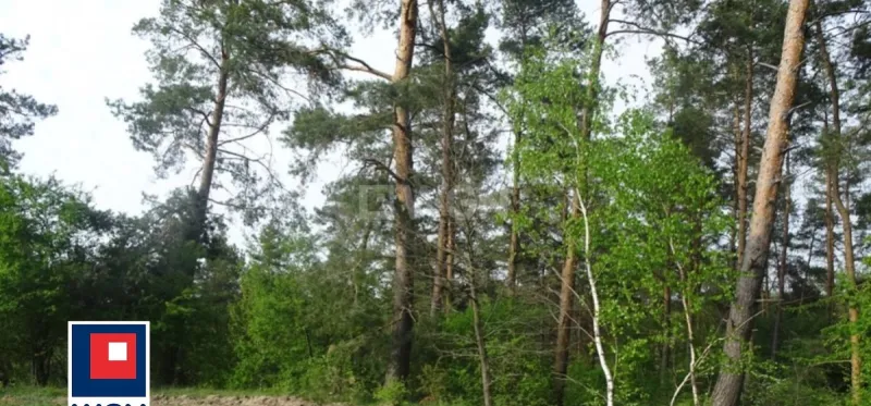 Grunt leśny na  sprzedaż Radoszki - NOWA,NIŻSZA CENA.w pobliżu jeziora.